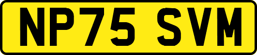 NP75SVM