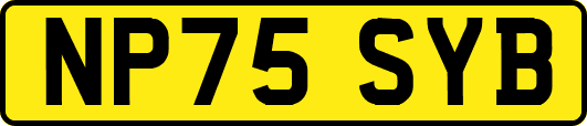 NP75SYB