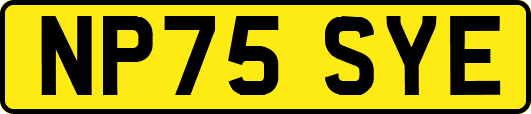 NP75SYE