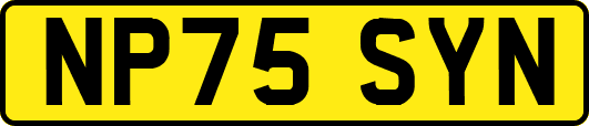 NP75SYN