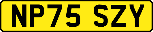 NP75SZY