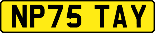 NP75TAY