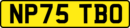 NP75TBO