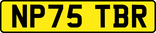 NP75TBR