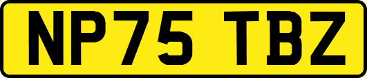 NP75TBZ