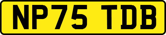 NP75TDB
