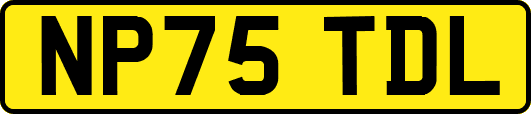 NP75TDL