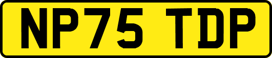 NP75TDP