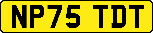 NP75TDT