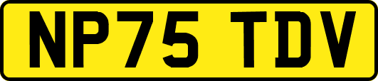 NP75TDV