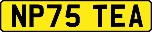 NP75TEA