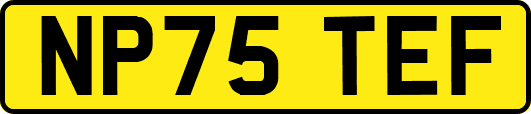 NP75TEF