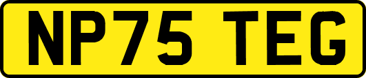 NP75TEG