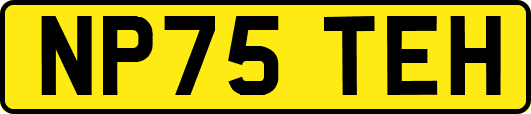 NP75TEH