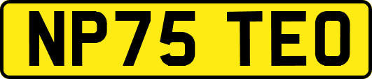 NP75TEO