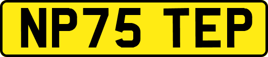 NP75TEP