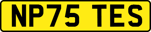 NP75TES