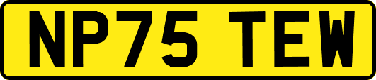 NP75TEW