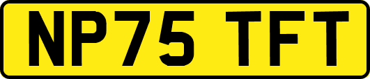 NP75TFT
