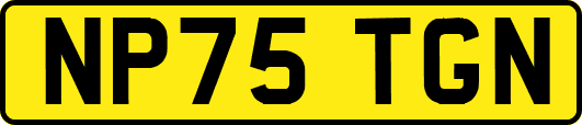 NP75TGN