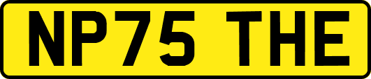NP75THE