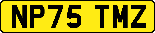 NP75TMZ