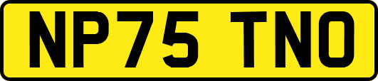 NP75TNO