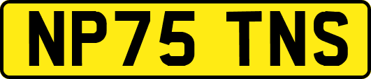 NP75TNS