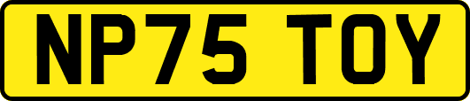 NP75TOY