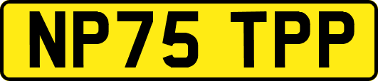 NP75TPP