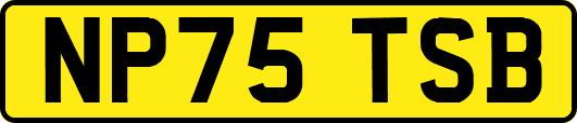 NP75TSB