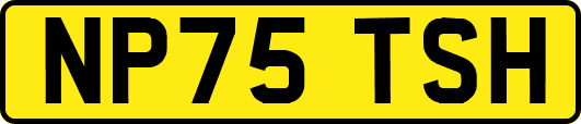 NP75TSH