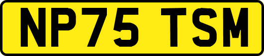 NP75TSM