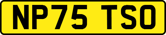 NP75TSO