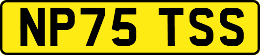 NP75TSS
