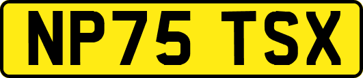 NP75TSX