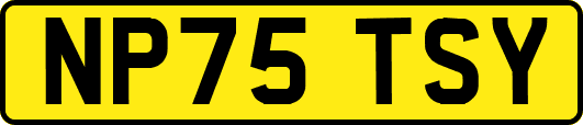 NP75TSY