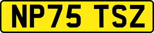 NP75TSZ