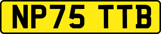 NP75TTB