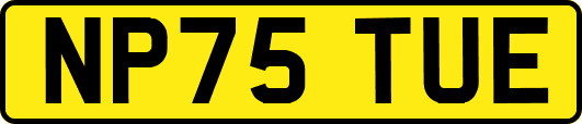 NP75TUE
