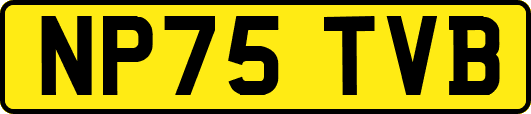 NP75TVB