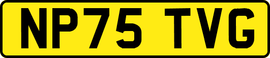NP75TVG