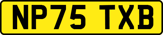 NP75TXB