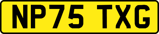 NP75TXG