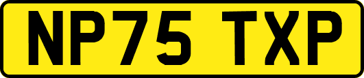 NP75TXP