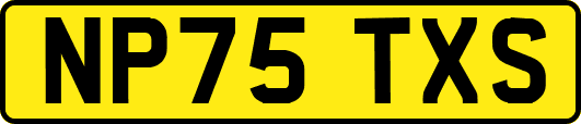 NP75TXS
