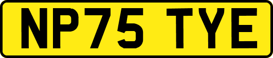 NP75TYE