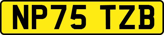 NP75TZB