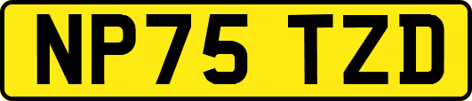 NP75TZD