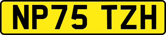 NP75TZH